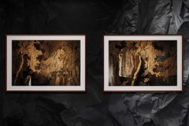 TOWARDS PHOTOGRAPHY